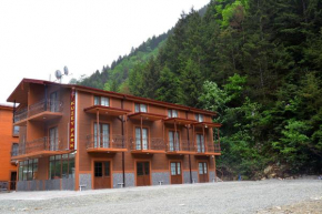  Kuzey Park Hotel  Uzungöl